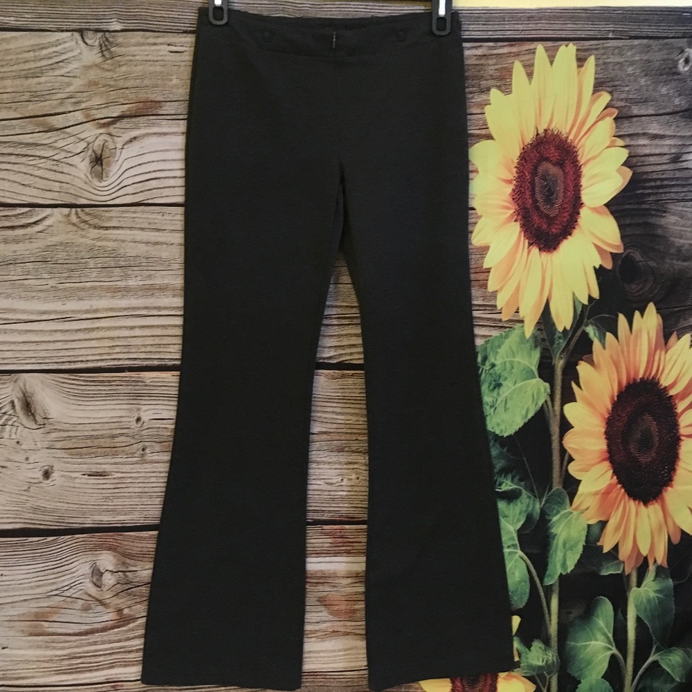 Express Gray Flare Dress Pants